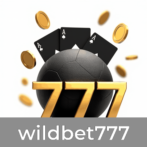 Wildbet777: A Emoção Instantânea do Crash com Retornos Elevados