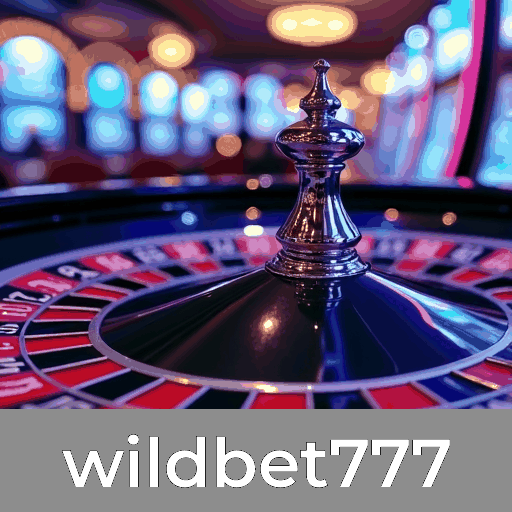 Descubra os serviços profissionais e as vantagens do Wildbet777