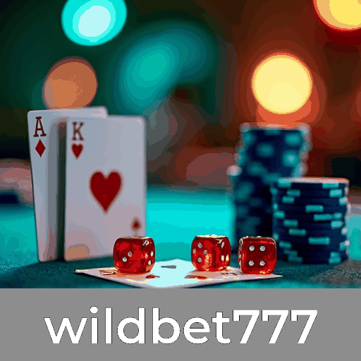 Descubra os serviços profissionais e as vantagens do Wildbet777