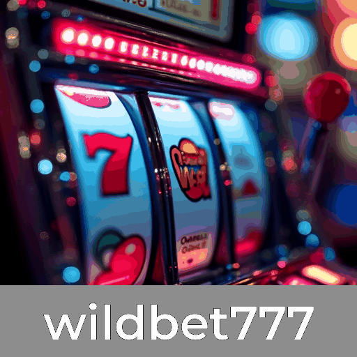 Descubra os serviços profissionais e as vantagens do Wildbet777